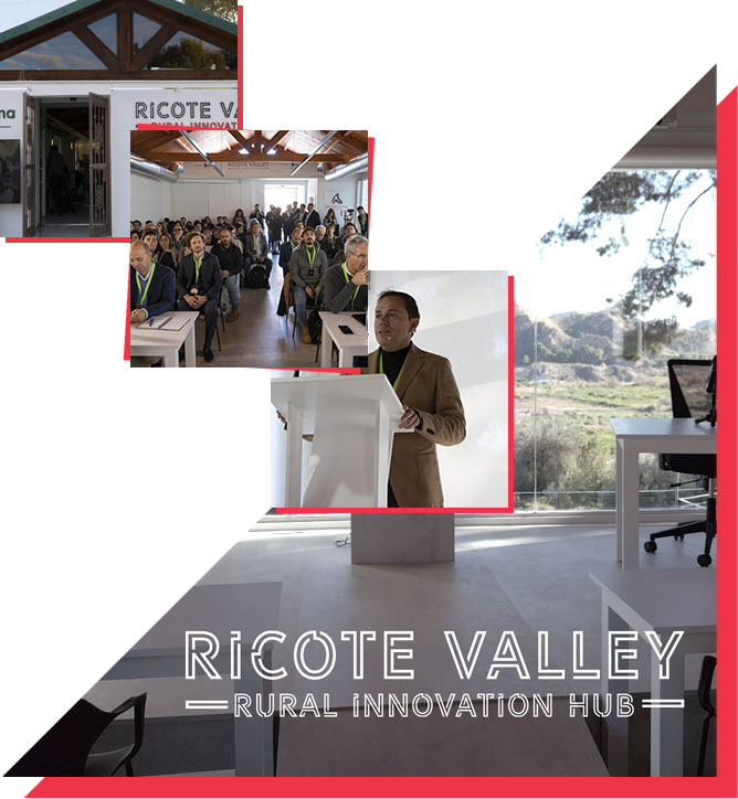 collage Ricote Valley Hub