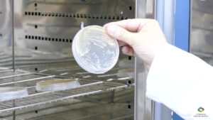 Incubadora-Cordoba-Biotech-02.jpg