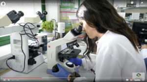 Incubadora-Cordoba-Biotech-03.jpg